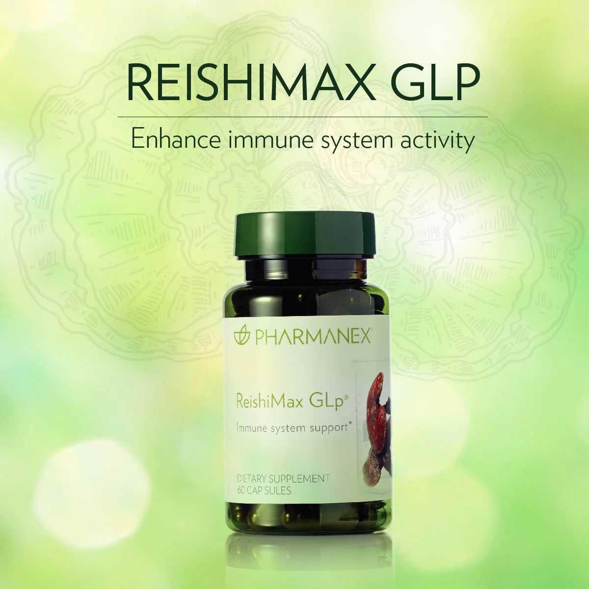 ReishiMax GLp® Immune Support